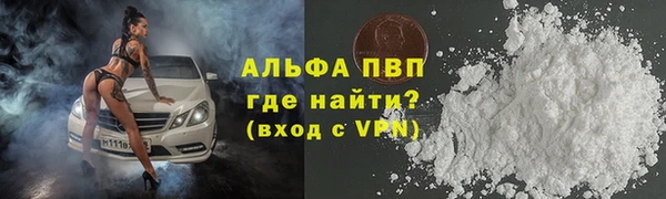 хмурый Корсаков