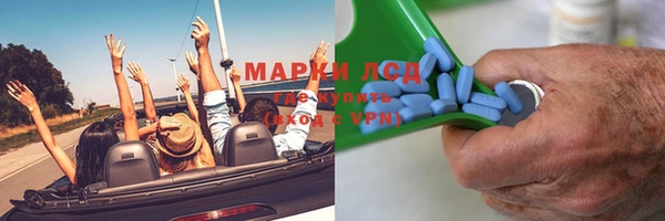 ГАЛЛЮЦИНОГЕННЫЕ ГРИБЫ Костерёво