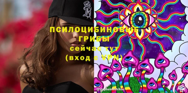 ешки Коряжма