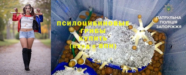 хмурый Корсаков