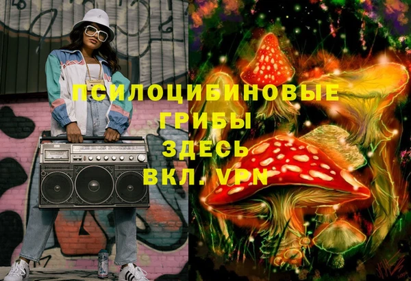 хмурый Корсаков