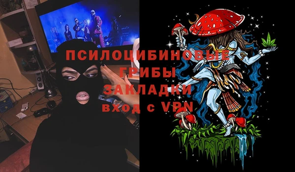 ешки Коряжма