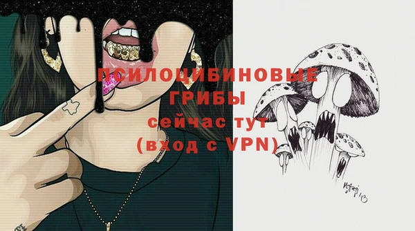 хмурый Корсаков
