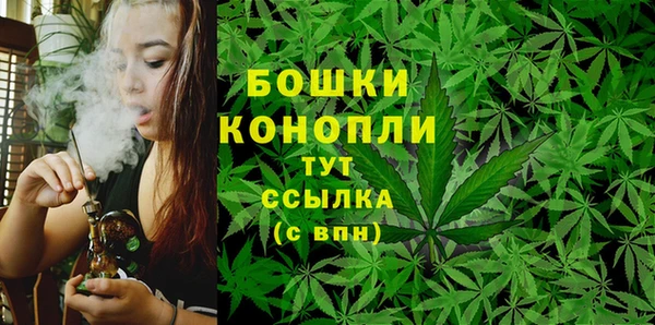 хмурый Корсаков