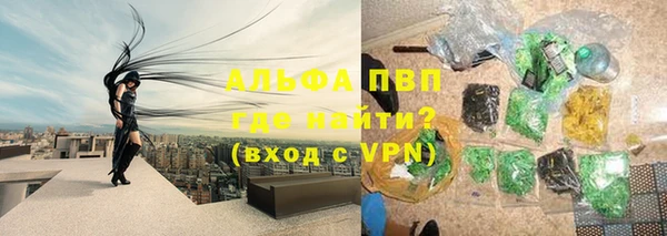 хмурый Корсаков